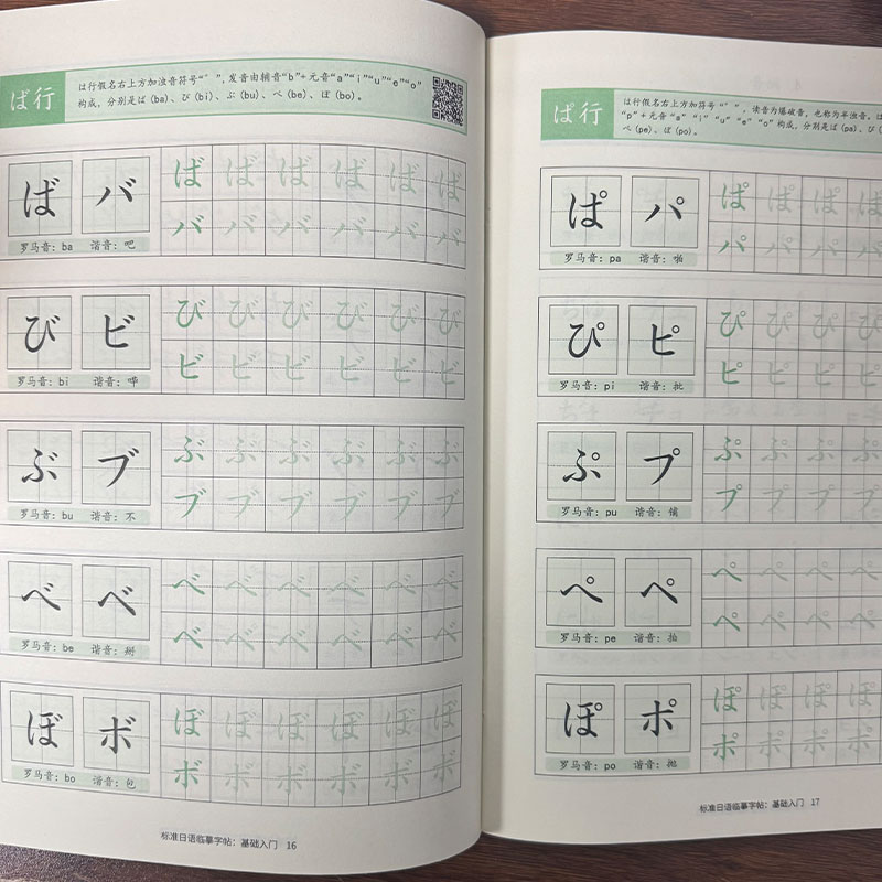 Chinese Calligraphy Practice Book - Cuaderno de Práctica de Hiragana y